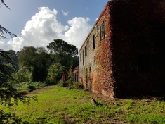 Landhaus zu verkaufen: ROMA (RM)